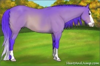 Horse Color:Watercolor Buckskin Splash 