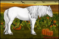 Horse Color:Silver Smoky Creme Dun
