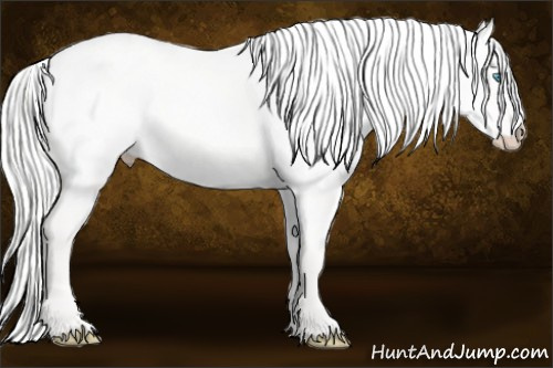 Horse Color: Cremello Dun 