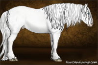 Horse Color:Cremello Dun 