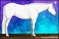 Horse Color:Silver Smoky Creme Dun Tobiano 