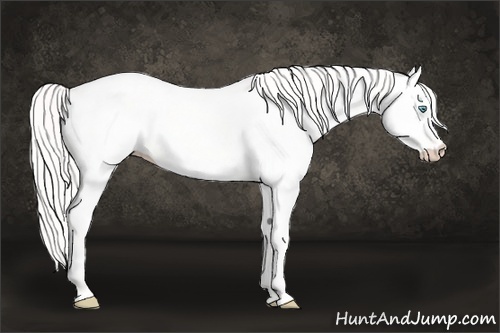 Horse Color: Cremello Dun 