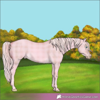 Horse Color:Watercolor Plaid  Cremello Dun 