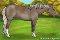 Horse Color:Silver Black 