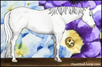 Horse Color:Cremello Dun 