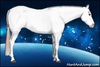 Horse Color:Red Roan Near Leopard 