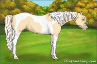 Horse Color:Silver Classic Cream Champagne Dun Tobiano 