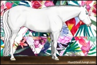 Horse Color:Cremello Dun 