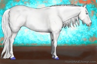 Horse Color:Cremello Dun 