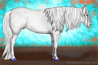 Horse Color:Silver Perlino Dun 