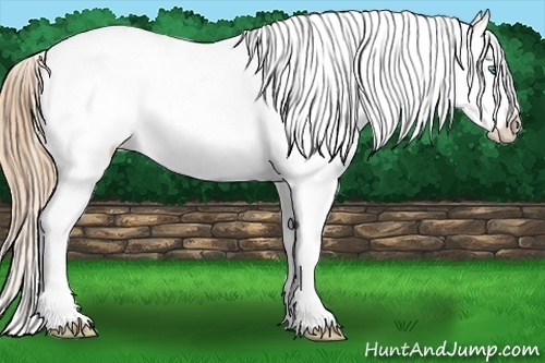 Horse Color:Smoky Grullo Pearl Blanket