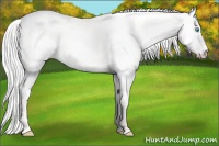 Horse Color:Silver Smoky Creme Dun 