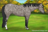 Horse Color:Grullo Ice Sabino