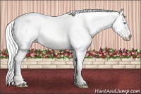 Horse Color:Silver Smoky Creme Dun 