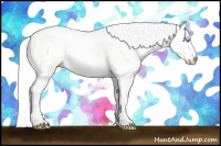 Horse Color:Cremello Dun 