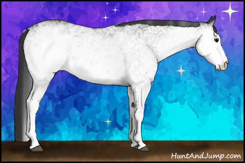 Horse Color: White Spotted Black 