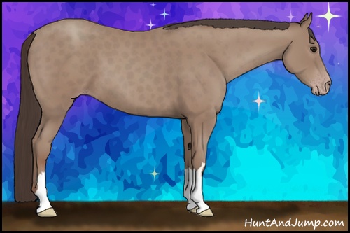Horse Color: Classic Champagne 