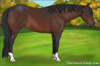 Horse Color:Brown 