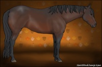 Horse Color:Brown 