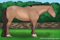 Horse Color:Sable Champagne 