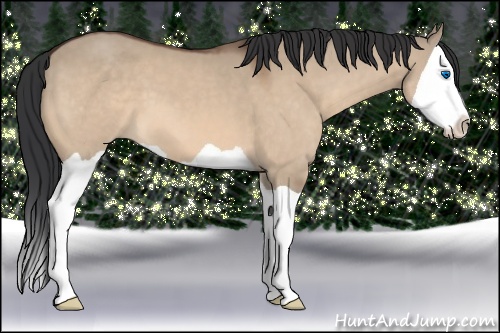Horse Color: Bay Dun Splash 