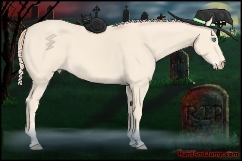 Horse Color: Perlino 