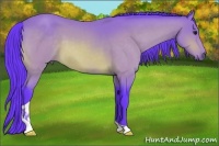 Horse Color:Watercolor Buckskin Tobiano 