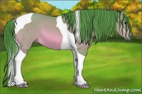 Horse Color:Watercolor Buckskin Tobiano 