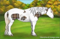 Horse Color:Plaid  Liver Chestnut Splash Tobiano 