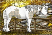 Horse Color:Plaid Silver Brown Dun Splash Tobiano