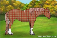 Horse Color:Plaid  Chocolate Palomino Tobiano 