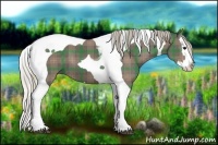 Horse Color:Plaid  Silver Black Splash Tobiano 