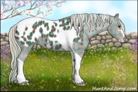 Horse Color:Plaid  Silver Black Sabino Tobiano Appaloosa 
