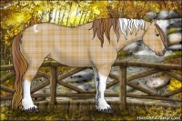 Horse Color:Plaid Red Dun Tobiano