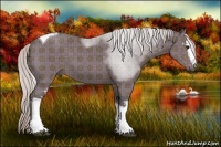 Horse Color:Plaid  White Spotted Silver Black Tobiano 