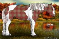 Horse Color:Plaid  Silver Brown Tobiano 
