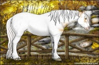 Horse Color:Plaid  Silver Classic Champagne Dun Splash Tobiano Frame 