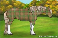 Horse Color:Plaid Chocolate Palomino Sabino Tobiano