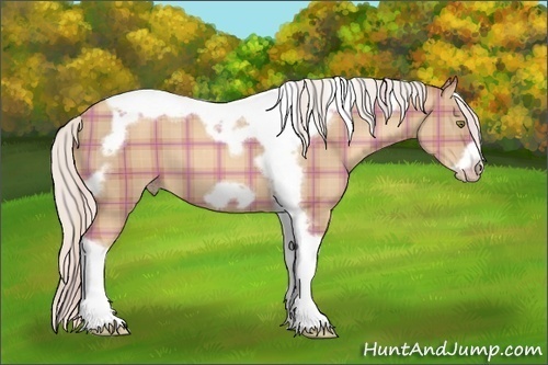 Horse Color: Plaid  Silver Classic Champagne Tobiano Frame 