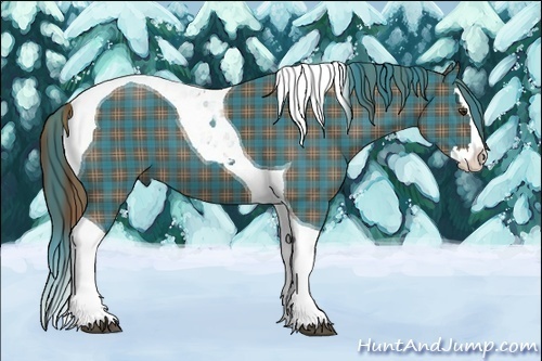 Horse Color: Plaid  Liver Chestnut Splash Tobiano 