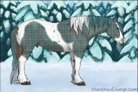 Horse Color:Plaid  Liver Chestnut Splash Tobiano 
