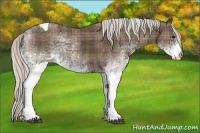Horse Color:Plaid  White Spotted Silver Black Tobiano 