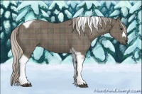 Horse Color:Plaid Silver Black Tobiano