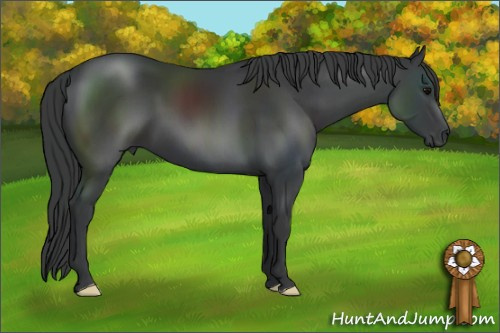 Horse Color: Brown 