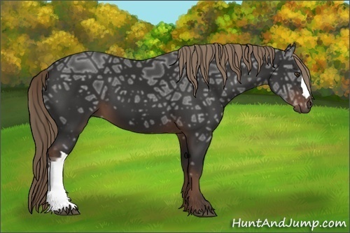 Horse Color: Liver Chestnut Ice 