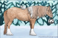 Horse Color:Gold Champagne Ice Tobiano