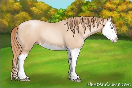 Horse Color: Gold Champagne Pearl Splash 