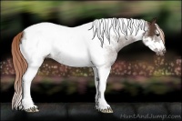 Horse Color:Liver Chestnut Tobiano Frame 