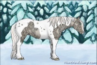 Horse Color:Silver Sable Champagne Ice Pearl Dun Tobiano 