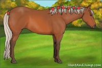 Horse Color:Silver Bay 